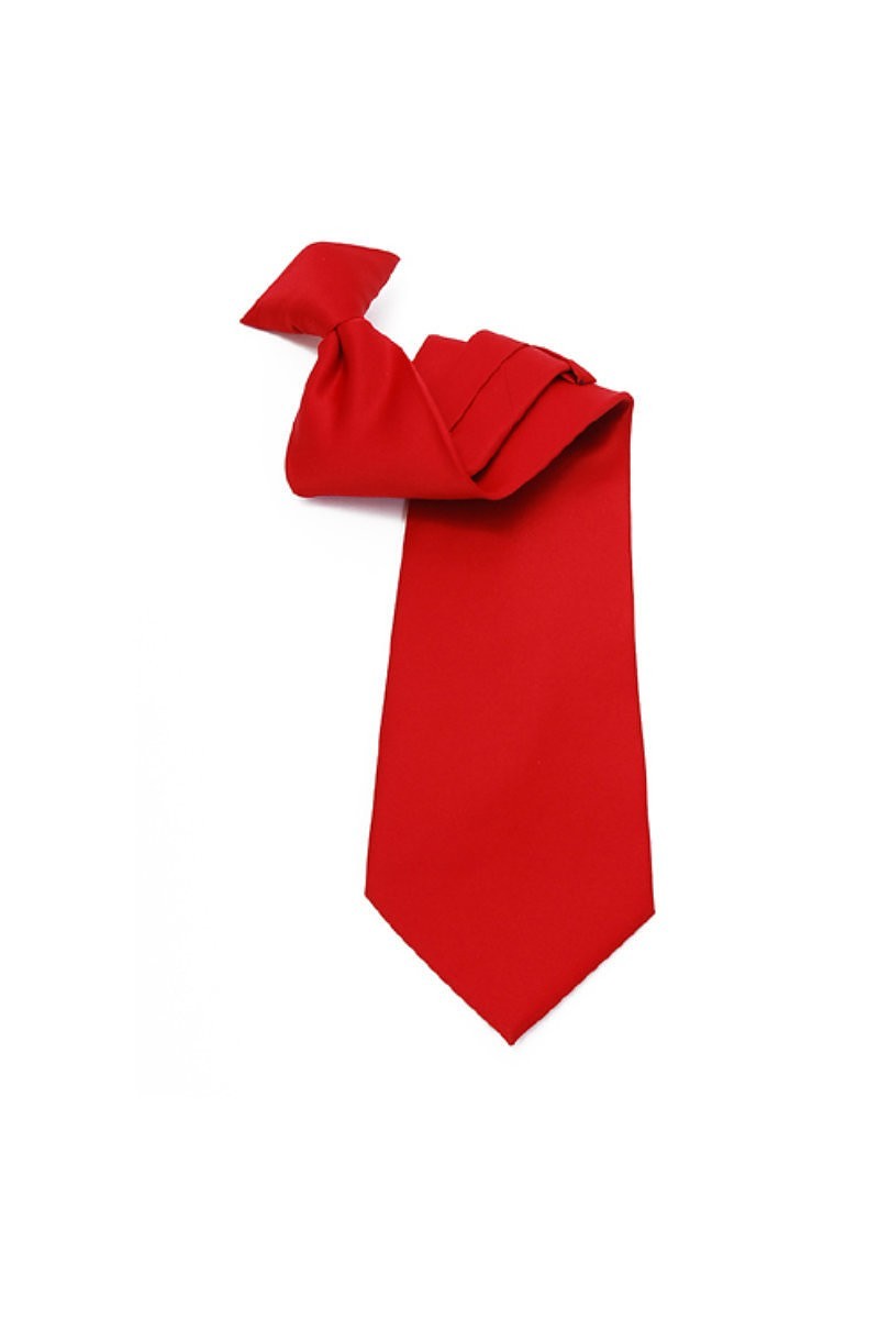 CLIP ON TIES